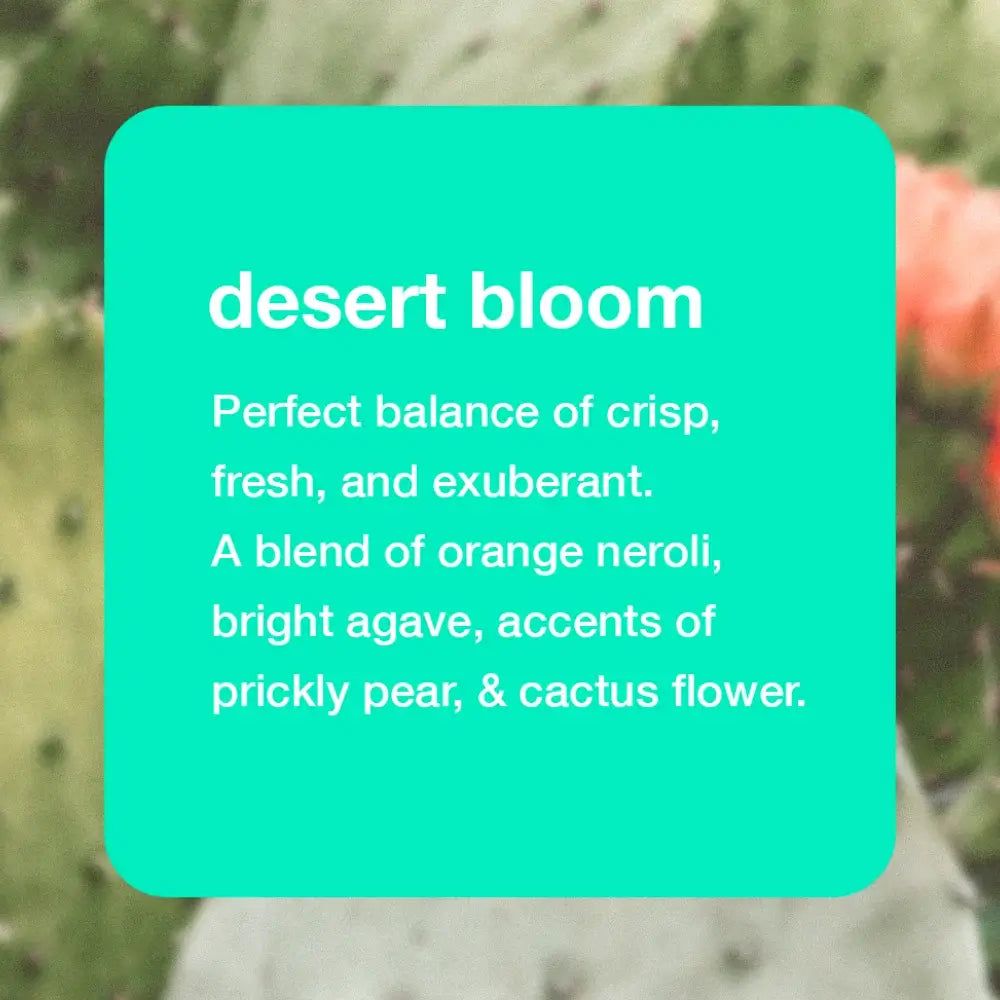 Desert Bloom | Hume Refresh Set - 2