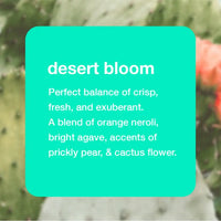 Desert Bloom | All Body Deodorant - 2