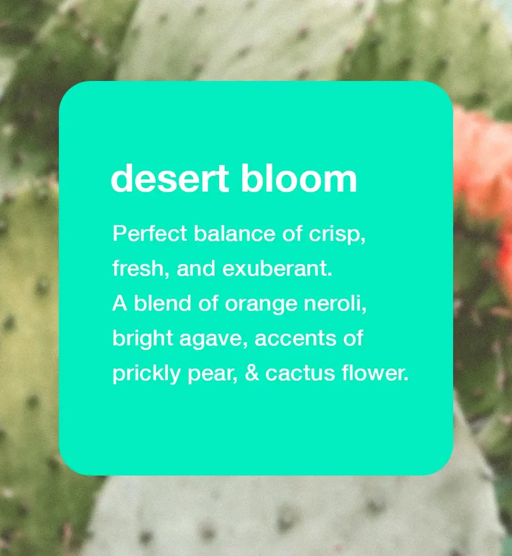 Desert Bloom | Hume Deodorant - 6