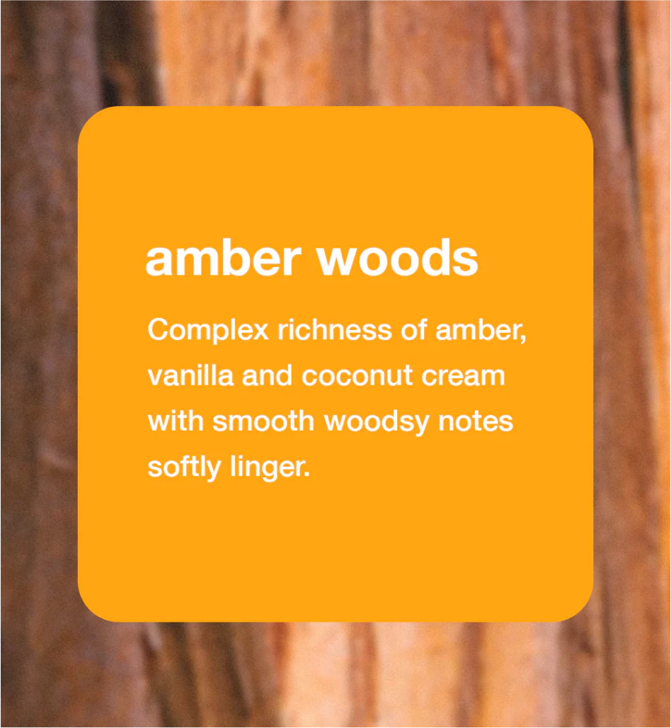 Amber Woods | Dry Body Oil Mist - 2