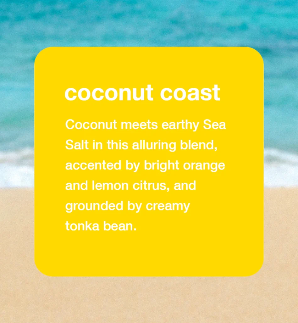 Coconut Coast | Dry Body Oil Mist - 2
