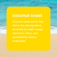 Coconut Coast | Dry Body Oil Mist - 2