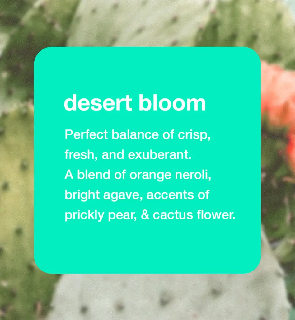 Desert Bloom | Dry Body Oil Mist - 2
