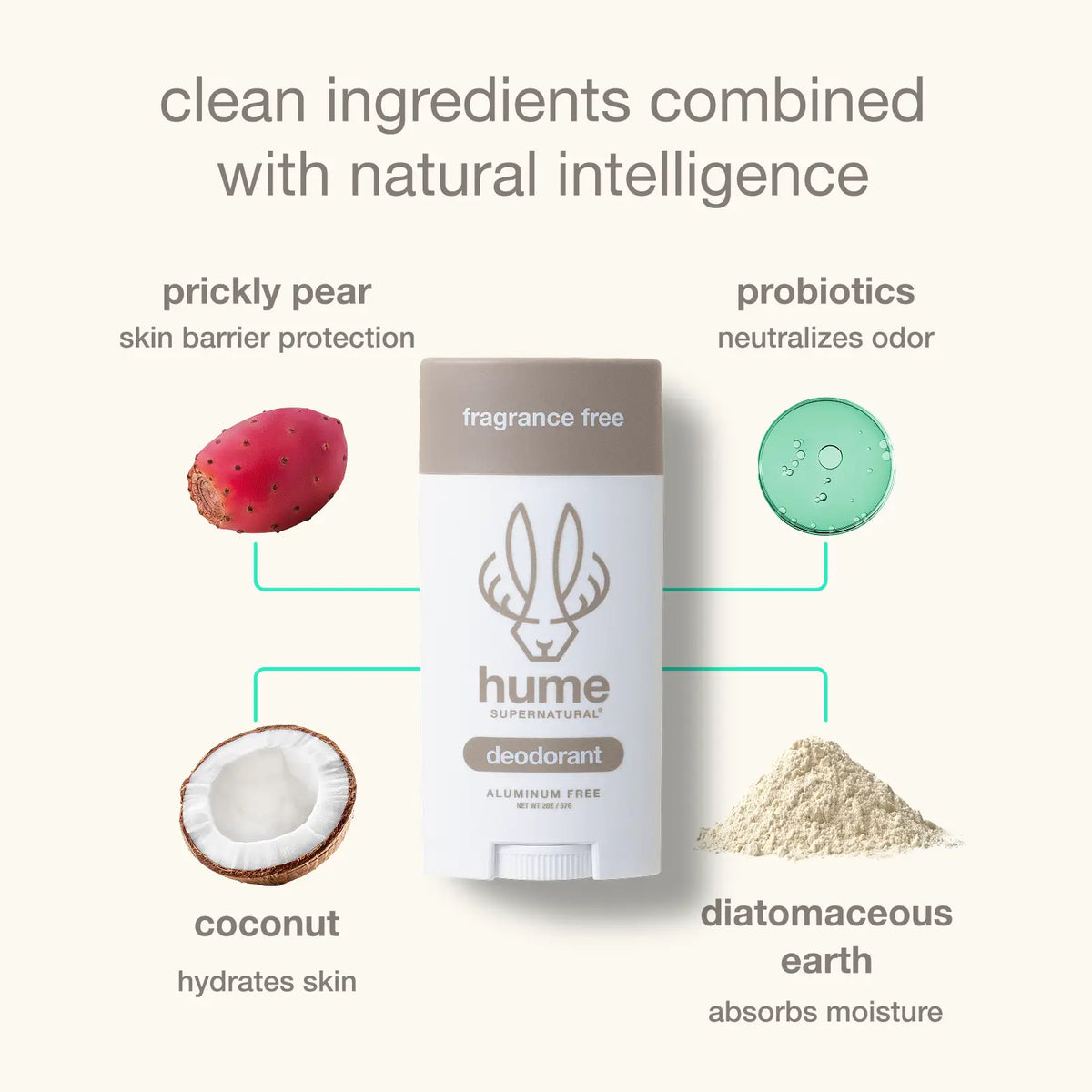 Fragrance Free | Hume Deodorant - 7