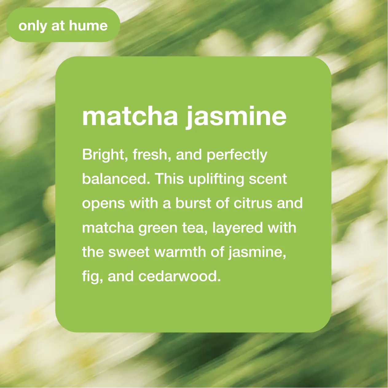 Matcha Jasmine | Hume Deodorant 1