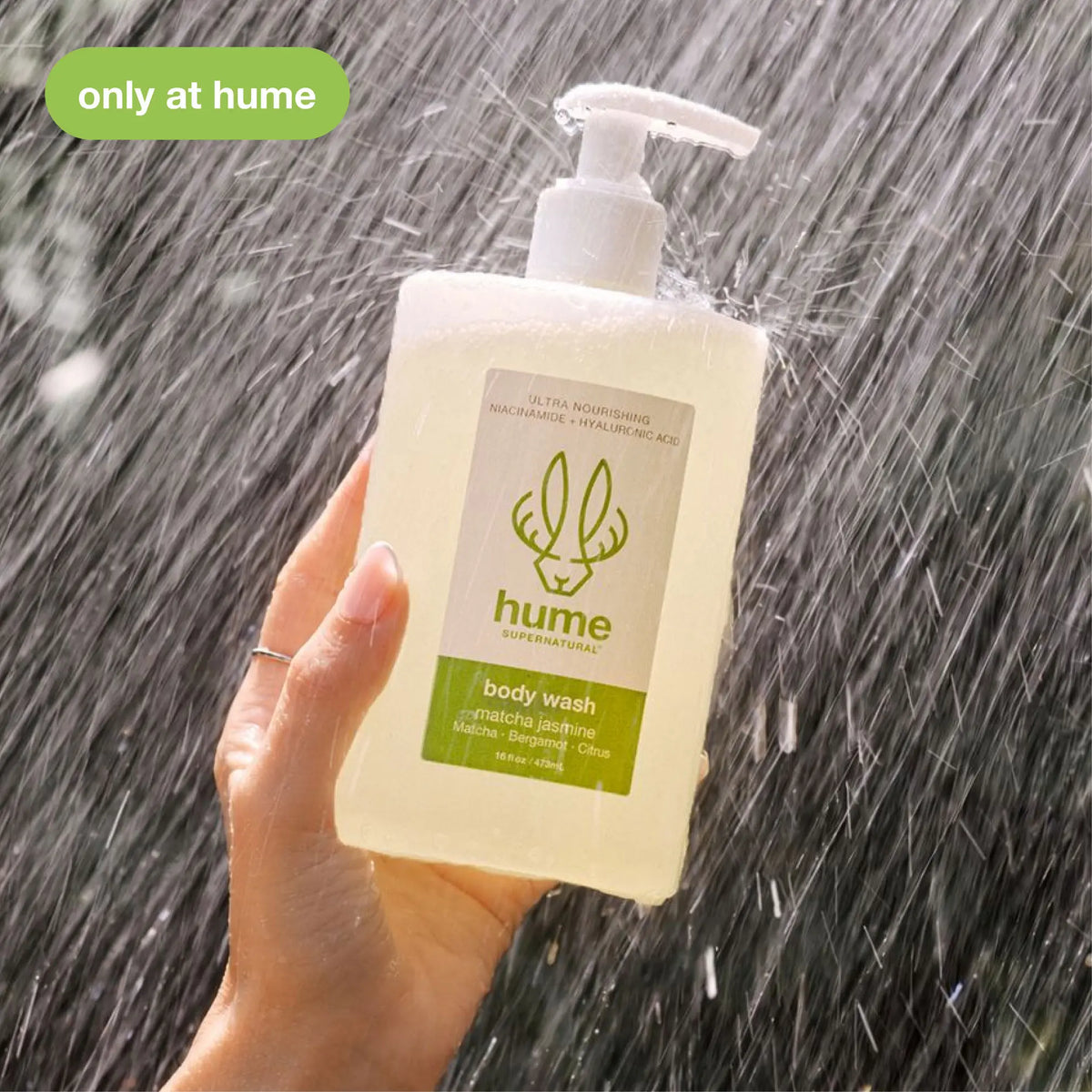 Matcha Jasmine | Body Wash - 1