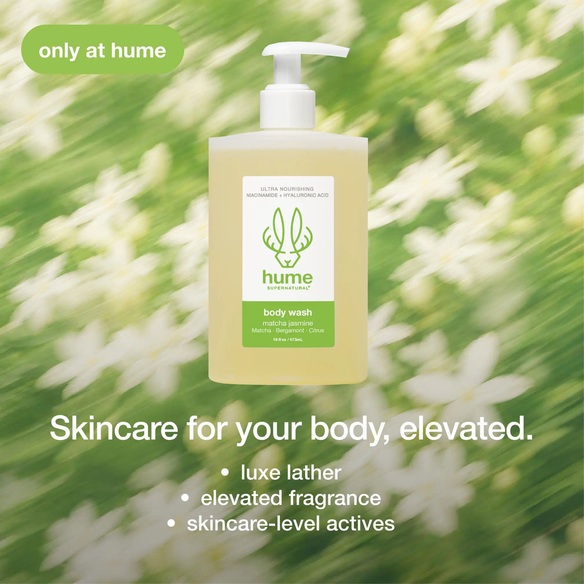 Matcha Jasmine | Body Wash - 3
